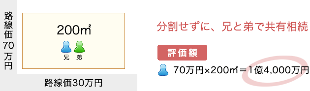 分割せずに、兄と弟で共有相続