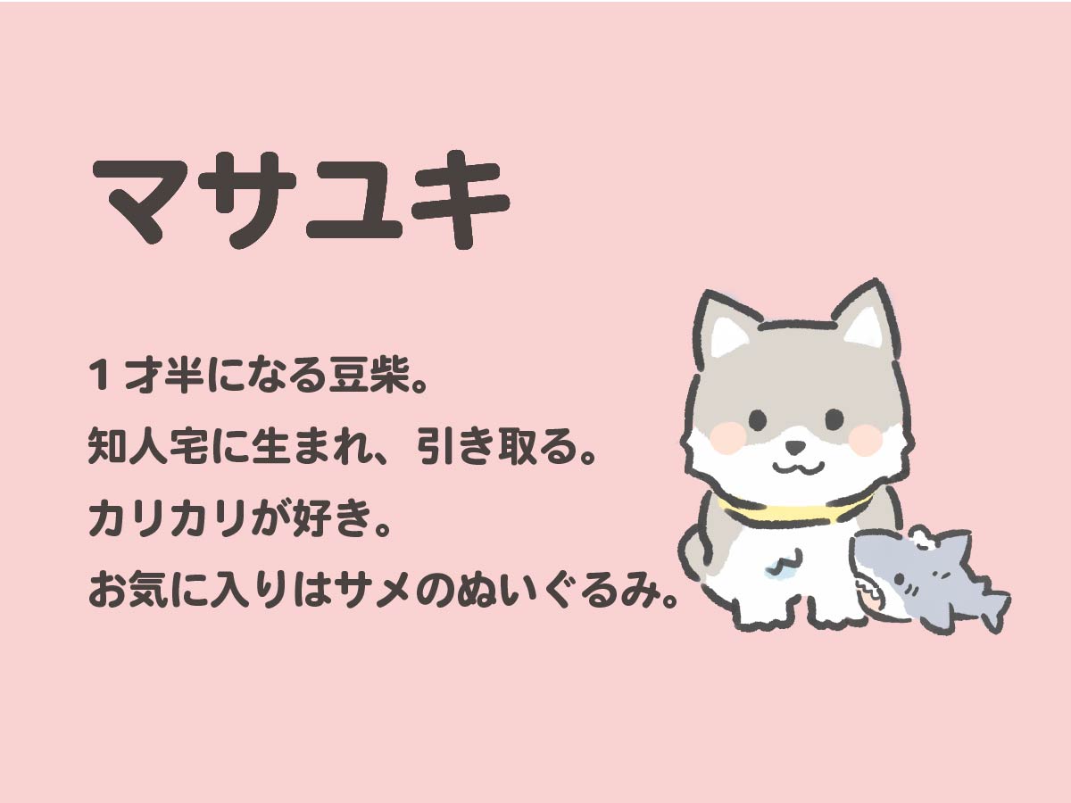 マサユキのプロフィール